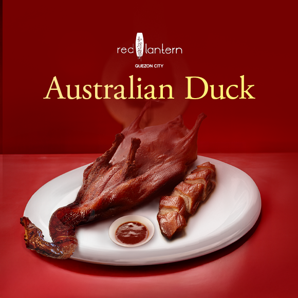 Red Lantern: Australian Duck