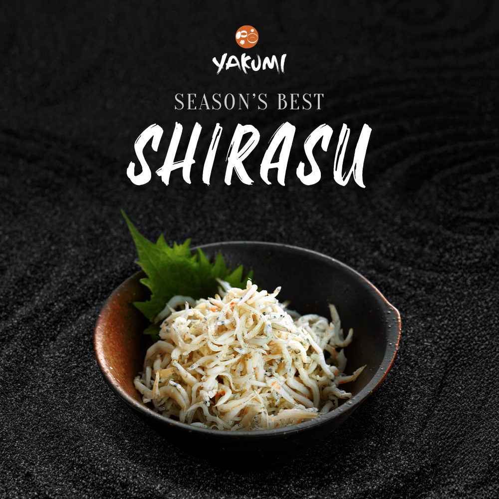 Yakumi: Shirasu