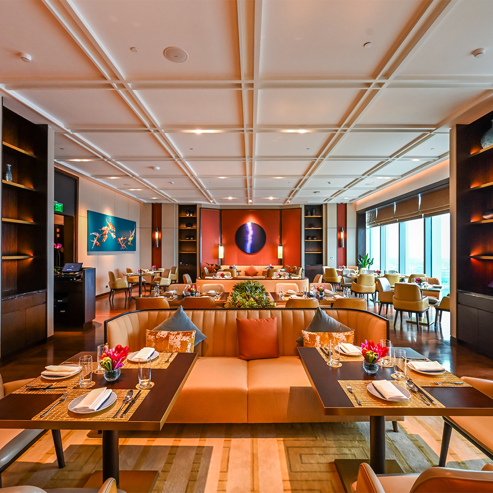 An Elevated Culinary Journey