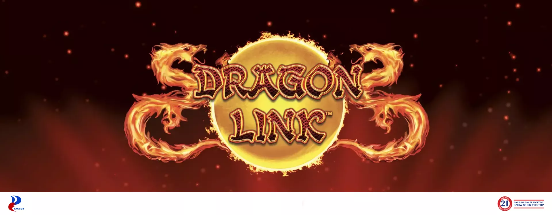 Dragon Link