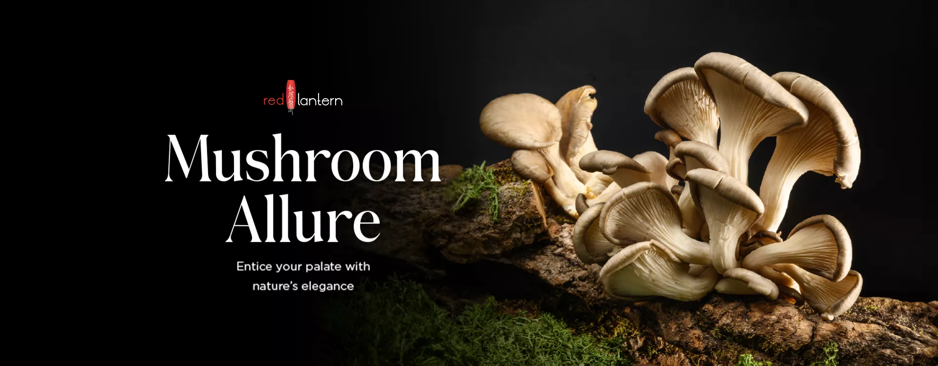 Red Lantern -  Mushroom Allure