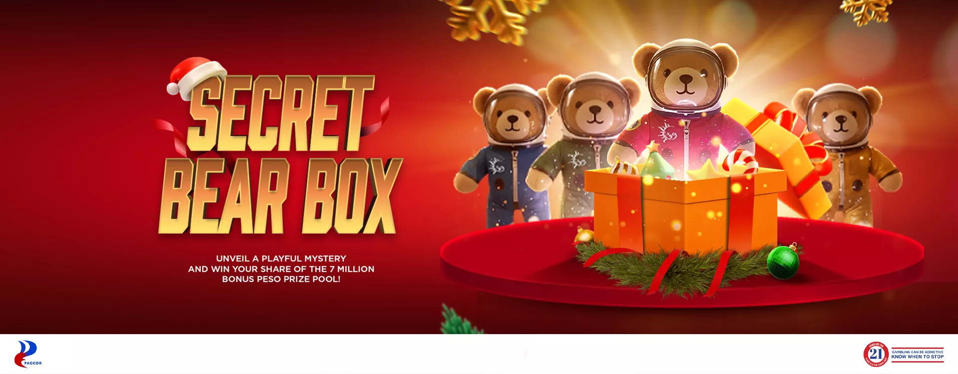 Secret Bear Box