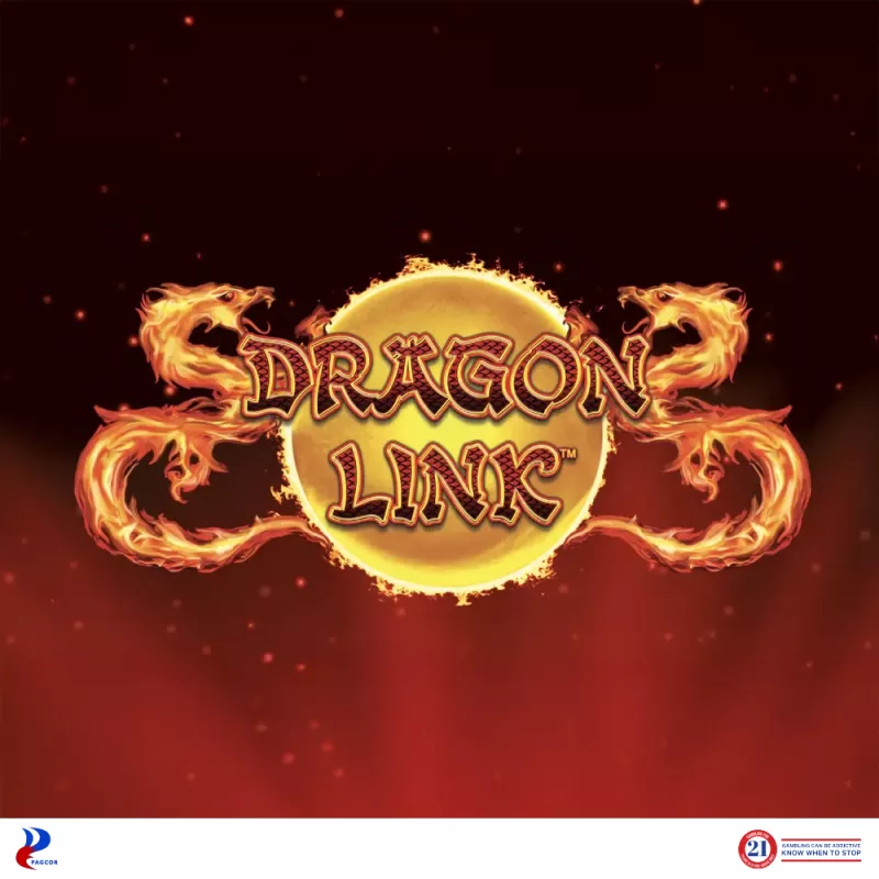 Dragon Link