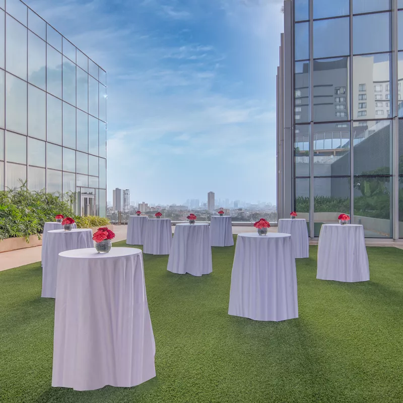 Ballroom Terrace