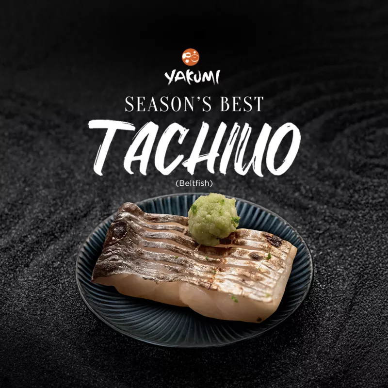 Tachiuo