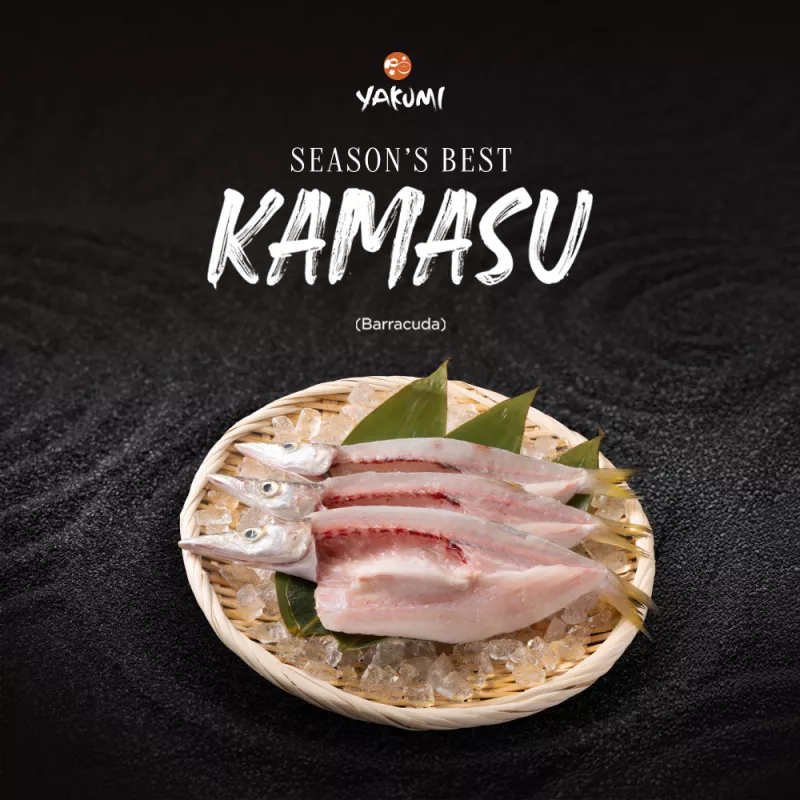 Yakumi: Kamasu