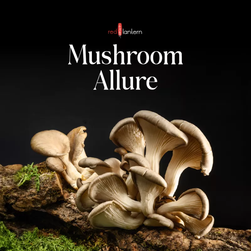 Red Lantern - Mushroom