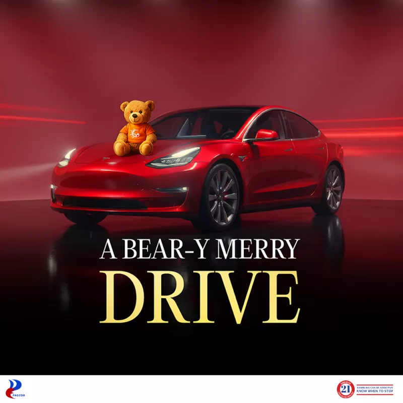 A Bear-y Merry Drive
