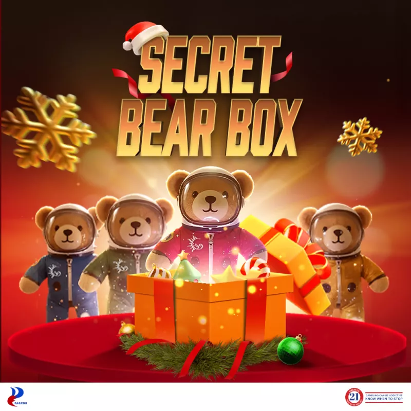 Secret Bear Box