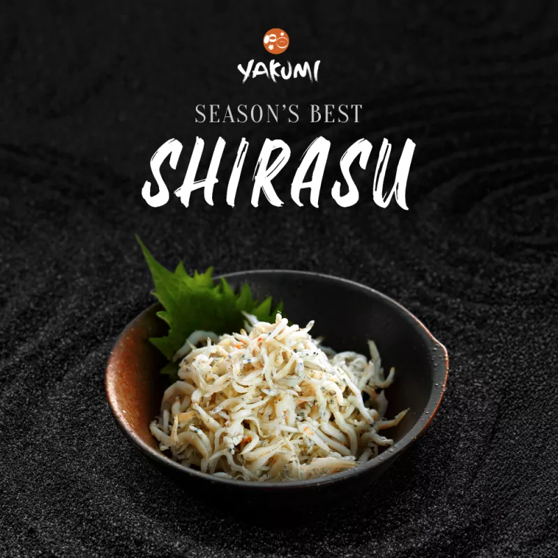 Yakumi: Shirasu