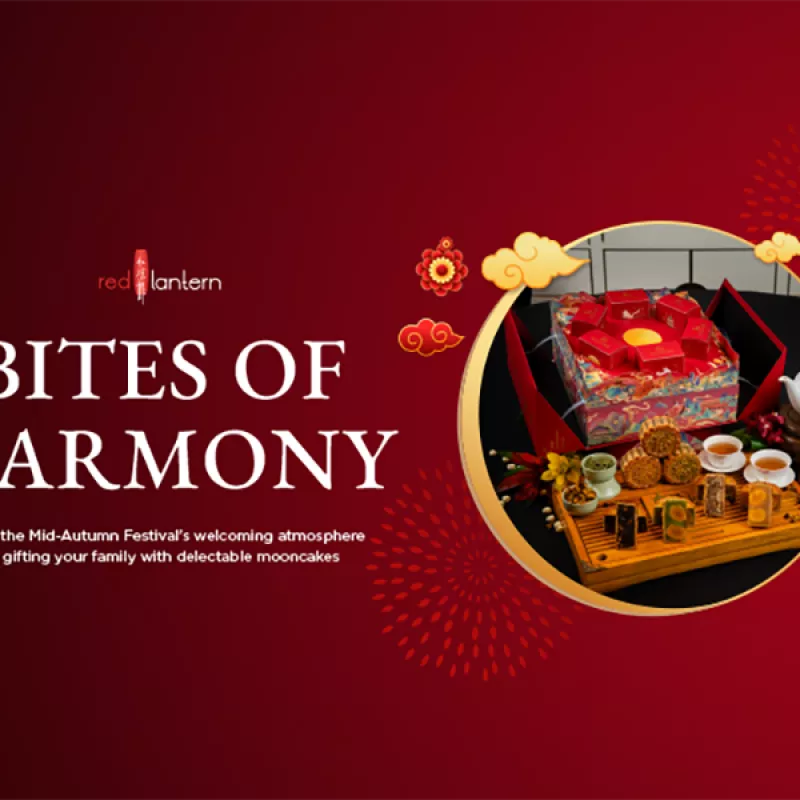 Solaire Mooncake: Bites of Harmony