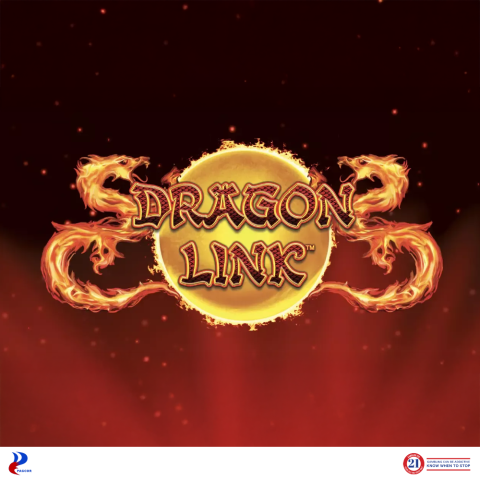 Dragon Link