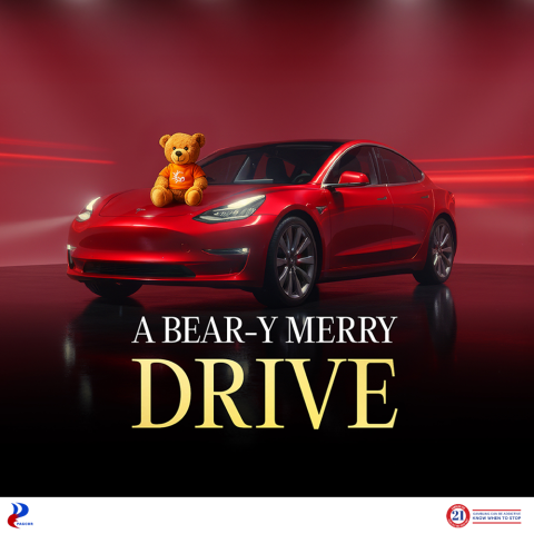 A Bear-y Merry Drive