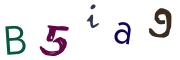 圖片的 CAPTCHA