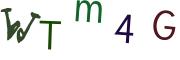 圖片的 CAPTCHA