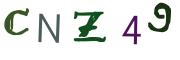 圖片的 CAPTCHA