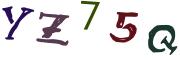 圖片的 CAPTCHA