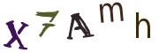 圖片的 CAPTCHA