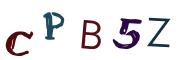 圖片的 CAPTCHA