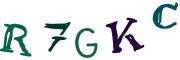 圖片的 CAPTCHA
