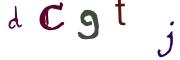 圖片的 CAPTCHA