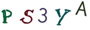 圖片的 CAPTCHA