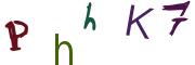 圖片的 CAPTCHA
