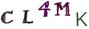 圖片的 CAPTCHA