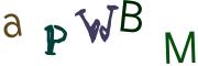 圖片的 CAPTCHA