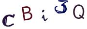 圖片的 CAPTCHA