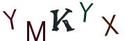 圖片的 CAPTCHA