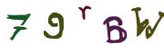 圖片的 CAPTCHA
