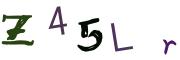 圖片的 CAPTCHA