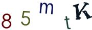 圖片的 CAPTCHA