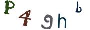 圖片的 CAPTCHA