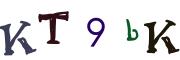 圖片的 CAPTCHA