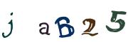 圖片的 CAPTCHA