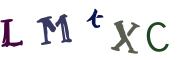 圖片的 CAPTCHA