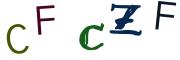 圖片的 CAPTCHA