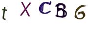 圖片的 CAPTCHA