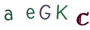 圖片的 CAPTCHA