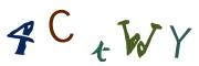 圖片的 CAPTCHA