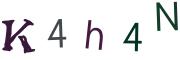 圖片的 CAPTCHA