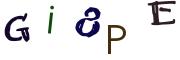 圖片的 CAPTCHA