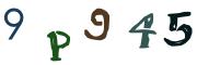 圖片的 CAPTCHA