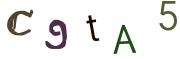 圖片的 CAPTCHA