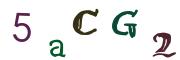 圖片的 CAPTCHA