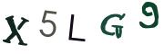 圖片的 CAPTCHA