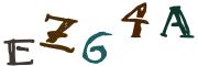 圖片的 CAPTCHA