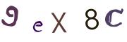 圖片的 CAPTCHA